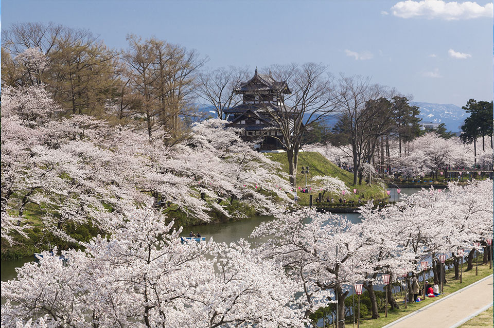 高田城址公園